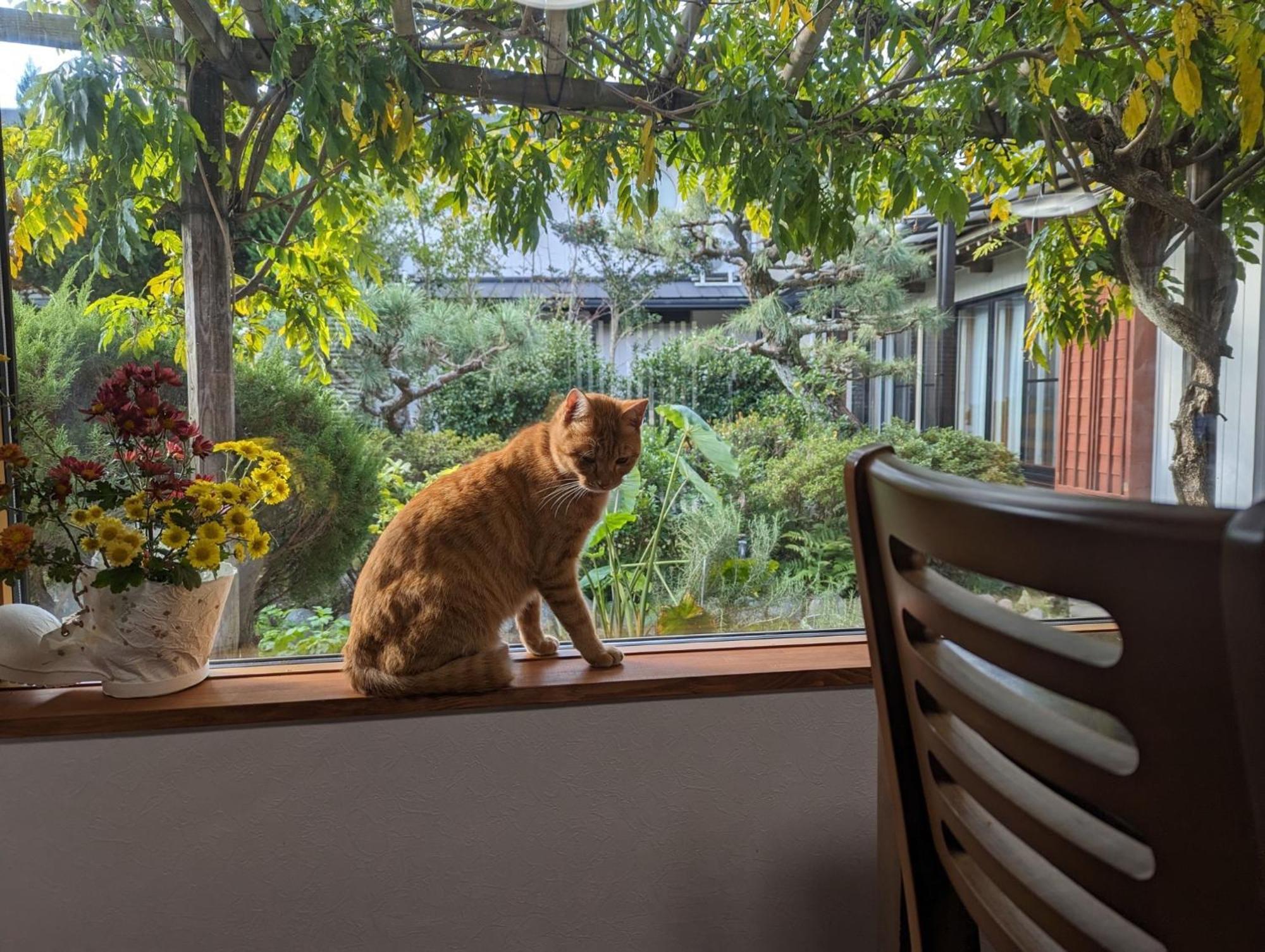 Nishio Guest House Ki-Zu - Vacation Stay 94978V מראה חיצוני תמונה