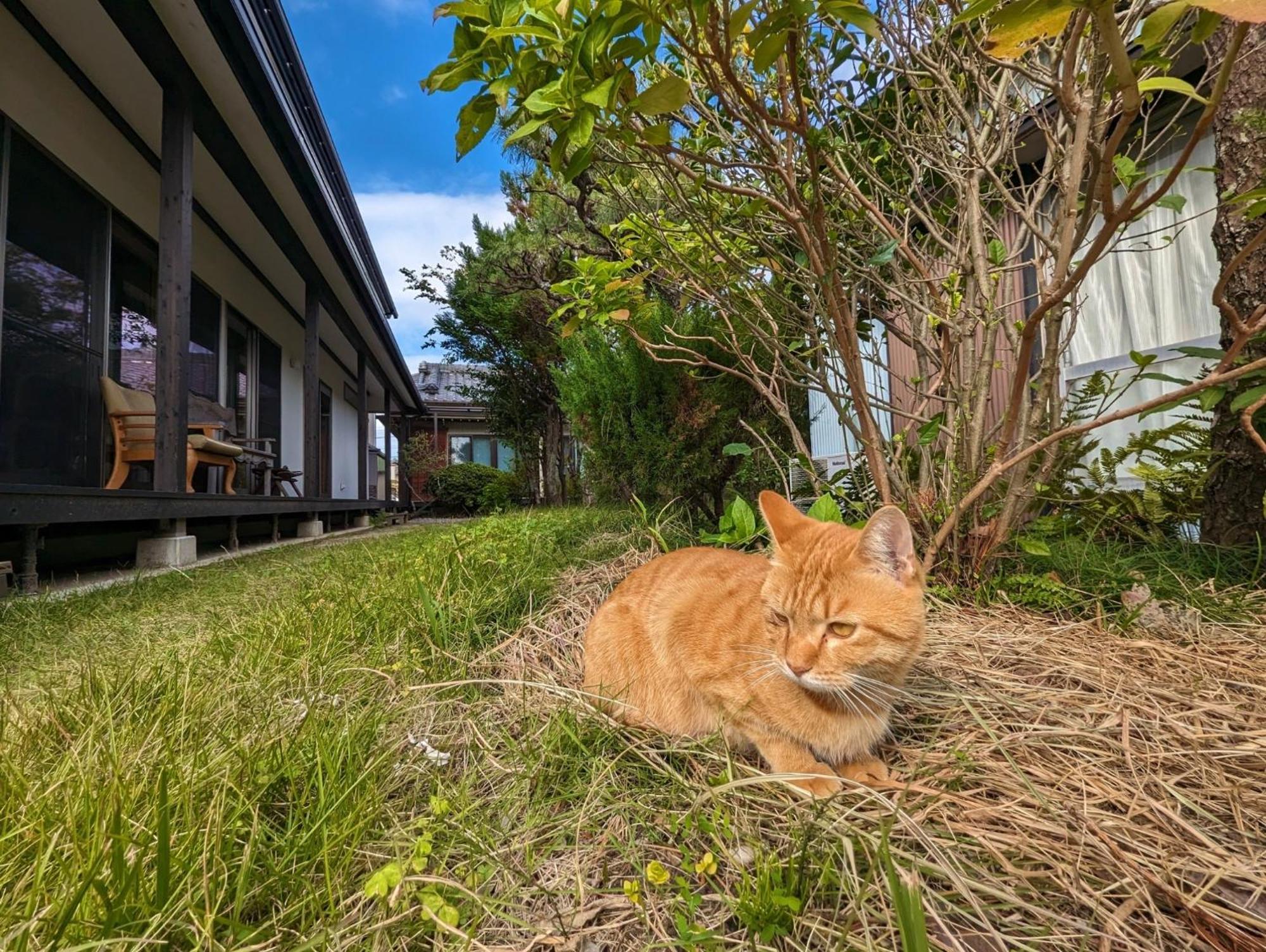 Nishio Guest House Ki-Zu - Vacation Stay 94978V מראה חיצוני תמונה